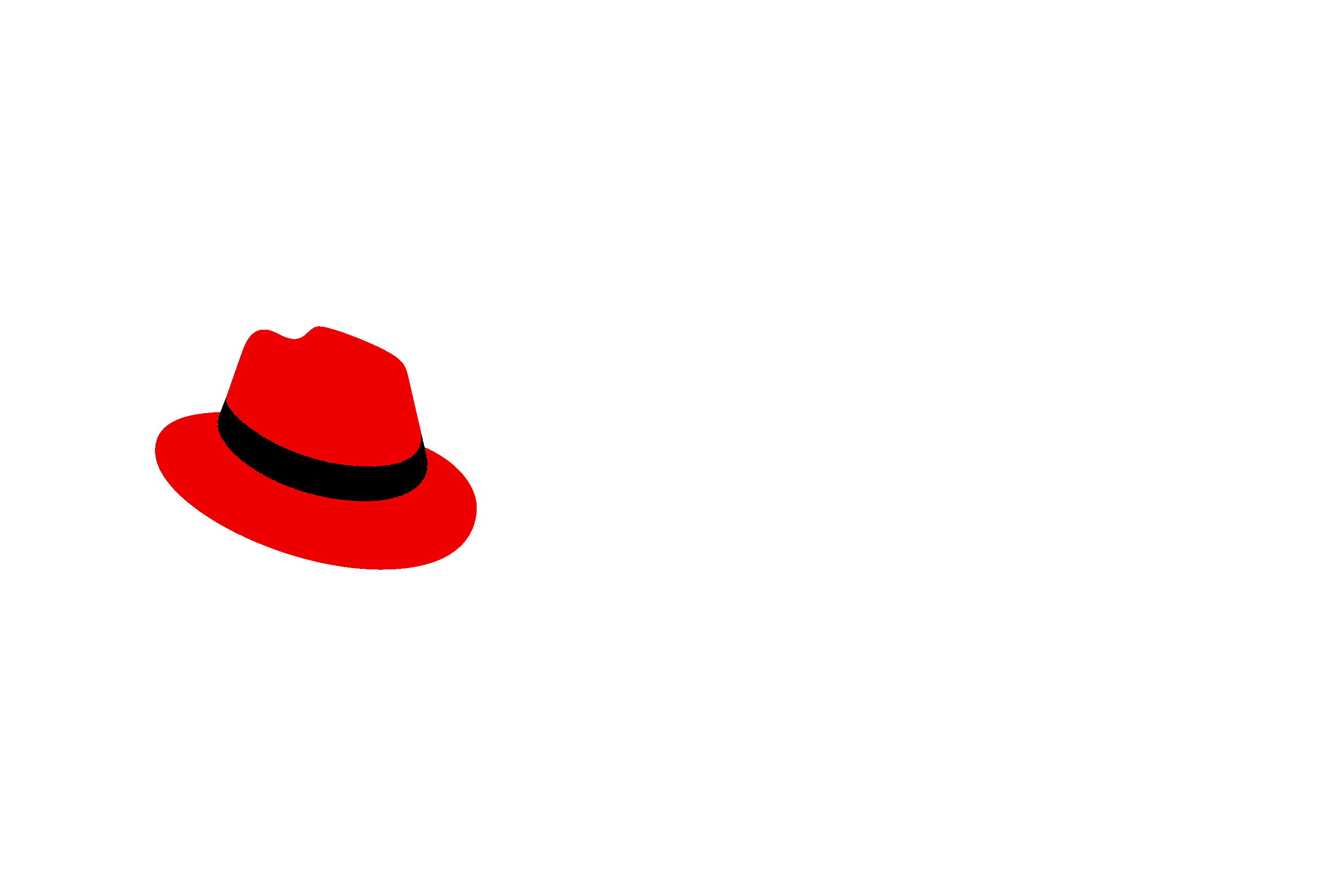 Red Hat Partner
