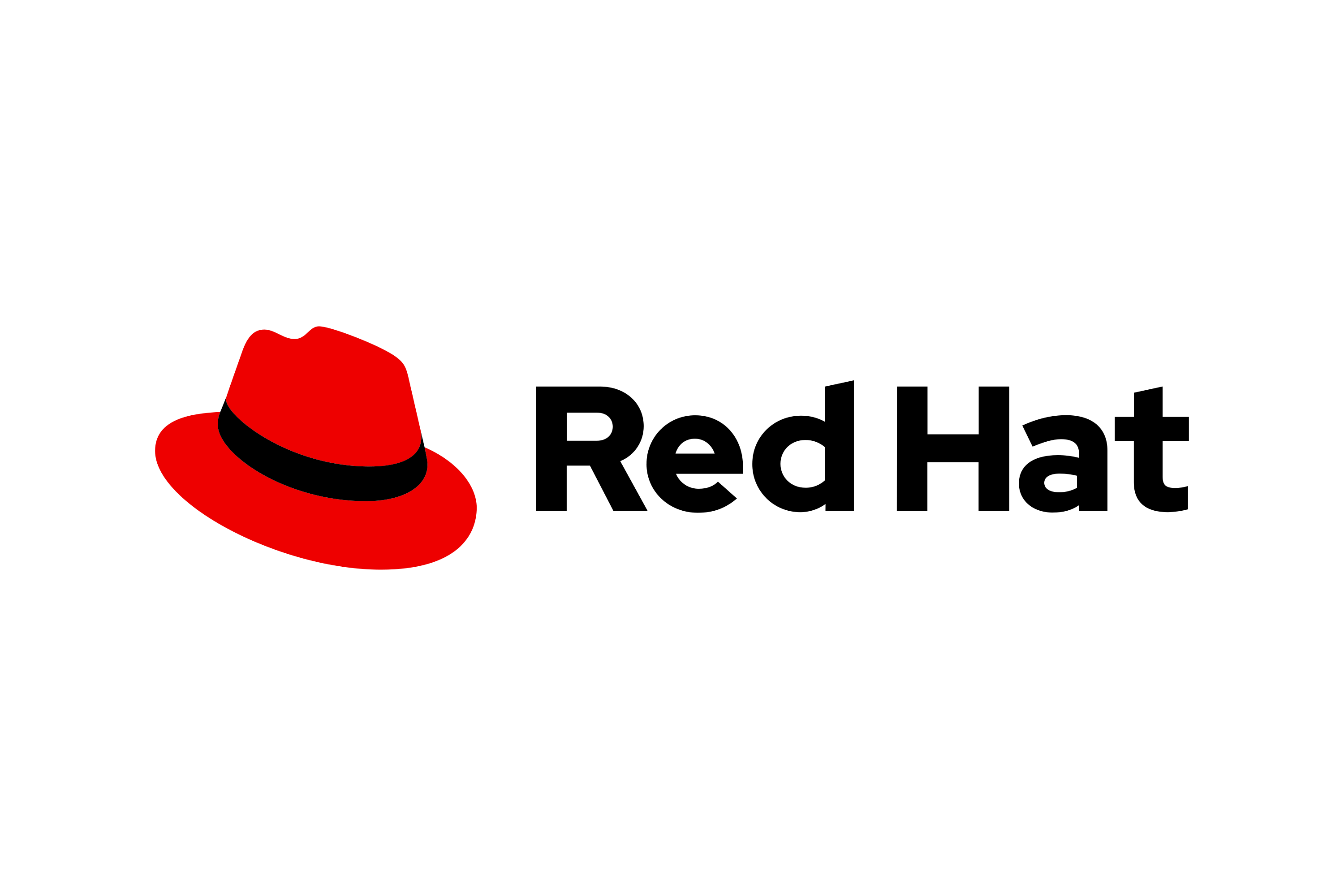 Red Hat Partner